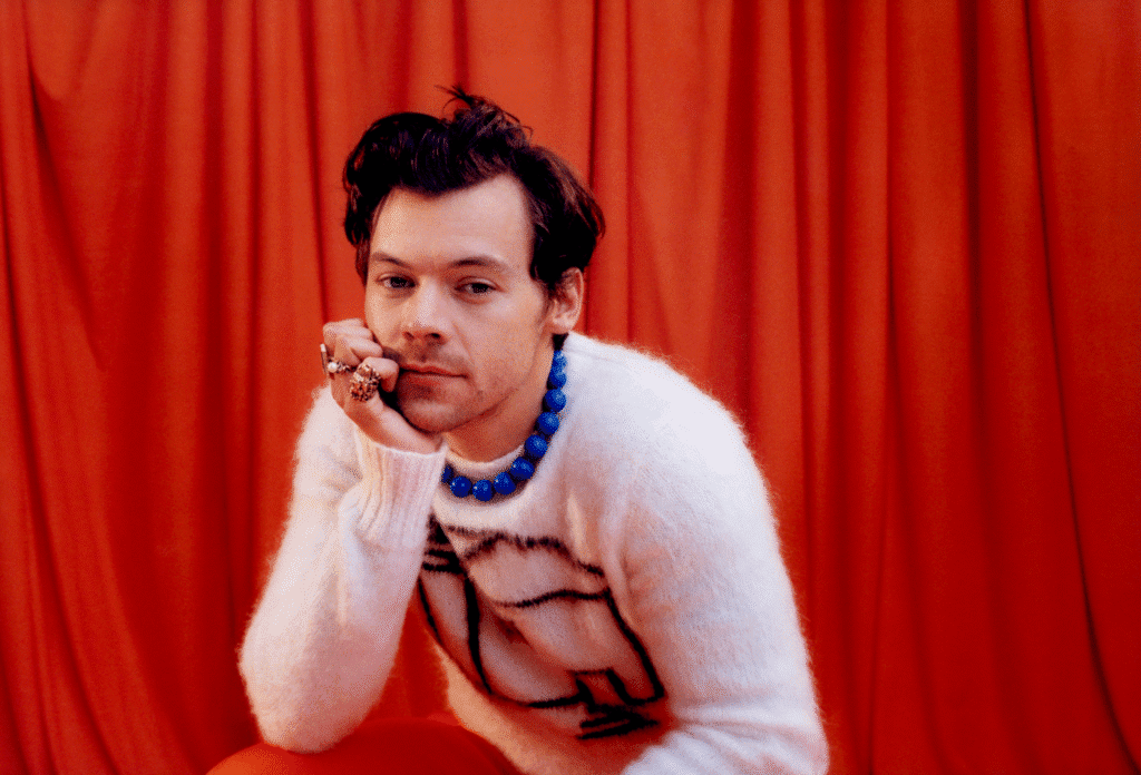 <strong>¿harry styles es el próximo david bowie? : conozca al nuevo ícono de la música pop</strong>