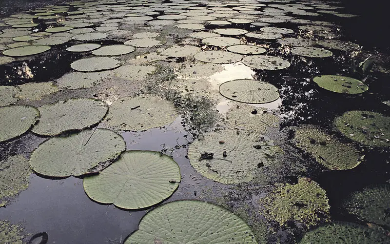 lugares más hermosos de Colombia