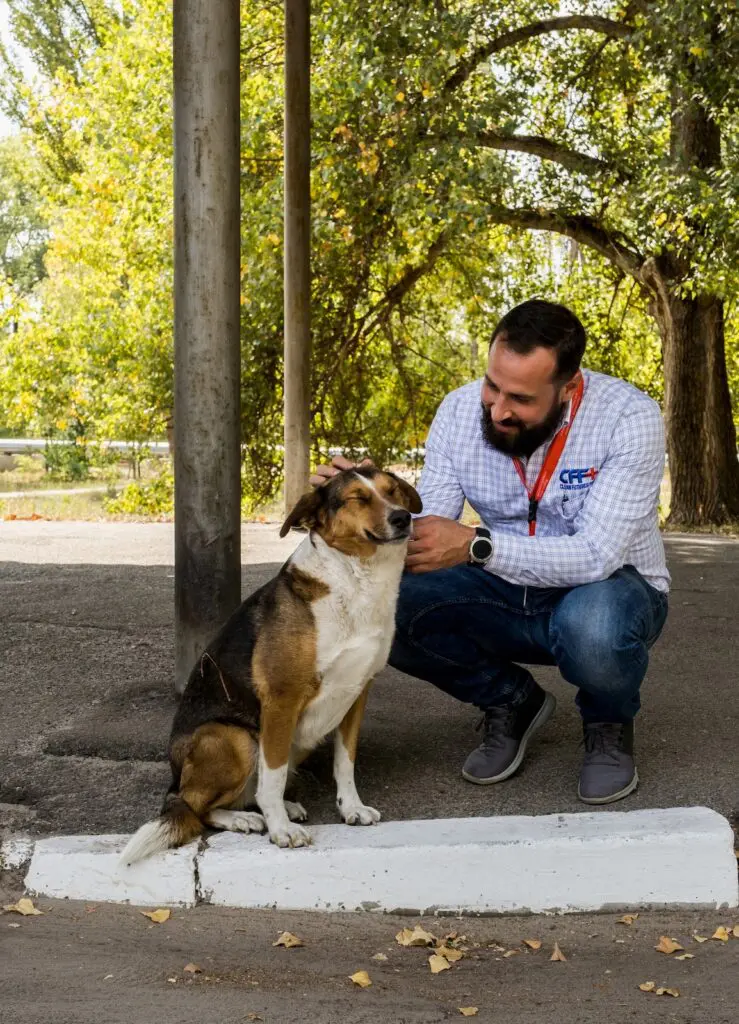 Viaje y conozca las costumbres de los países con Airbnb desde su casa airbnb