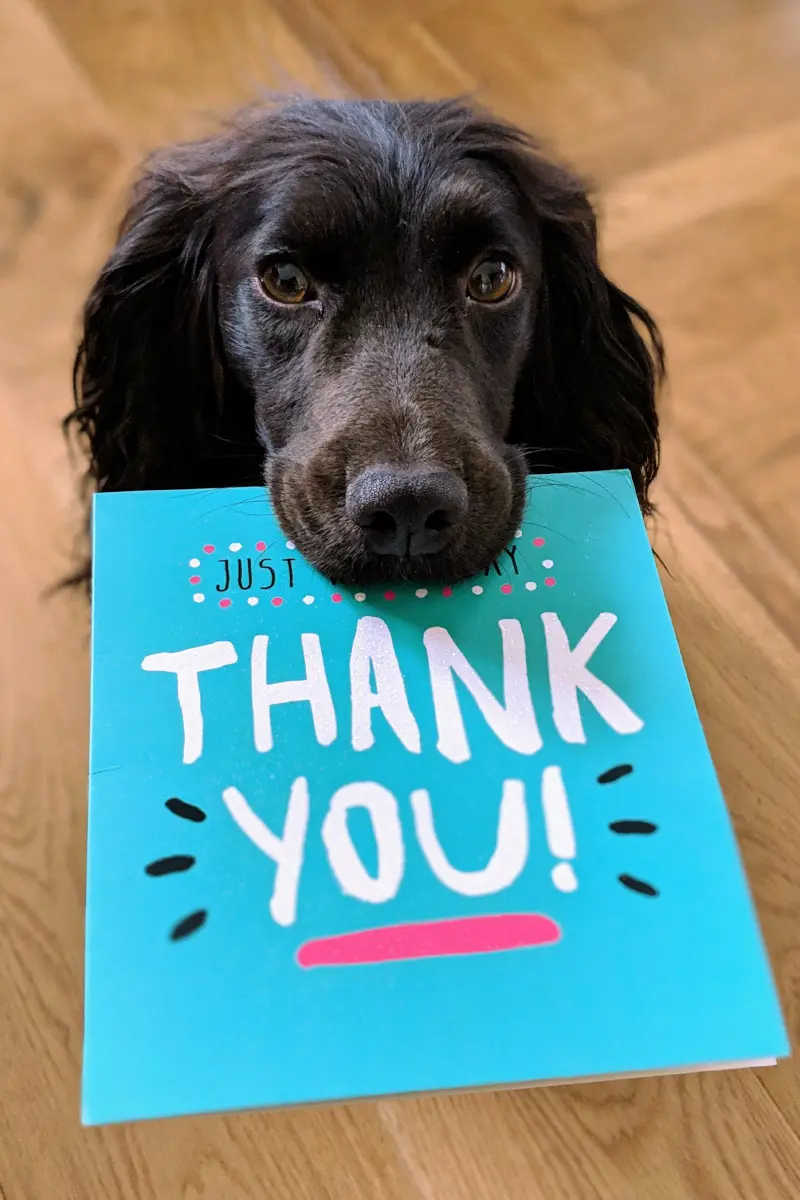 Consejos para evitar el agotamiento emocional