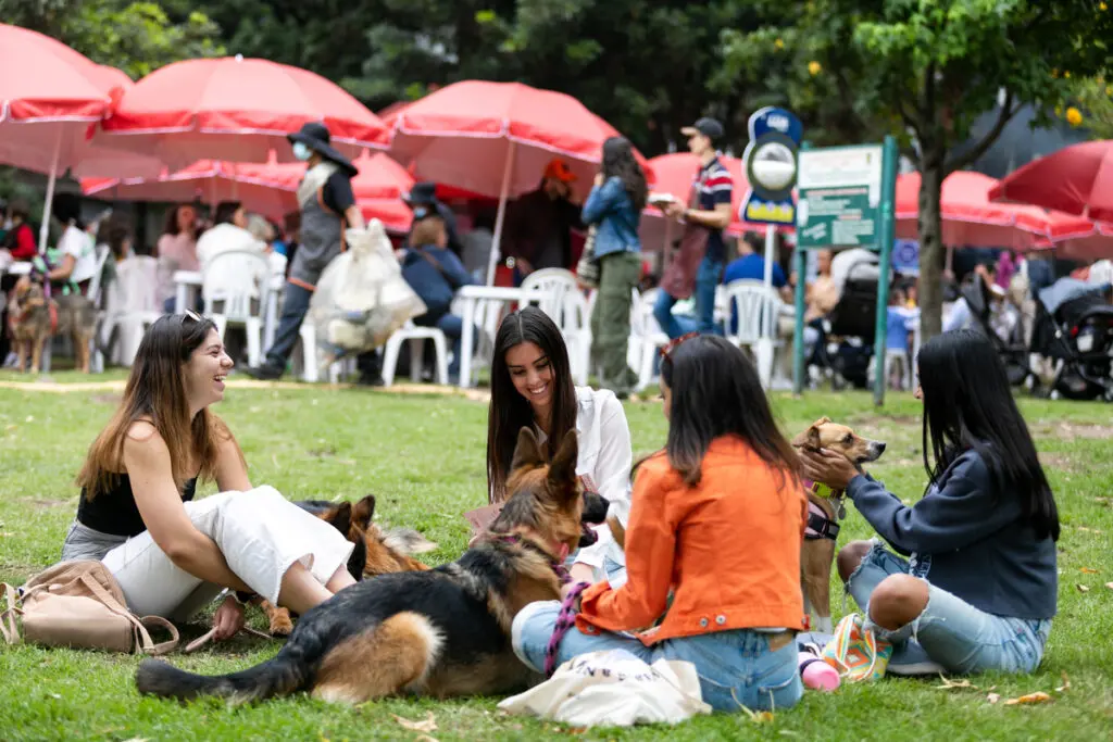 Todo lo que tiene que saber sobre alimentarte food festival