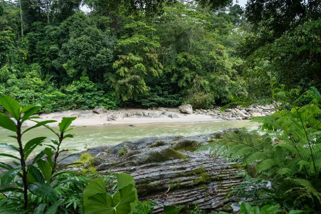 Putumayo: un destino de paz y naturaleza imperdible Putumayo: un destino de paz y naturaleza imperdible