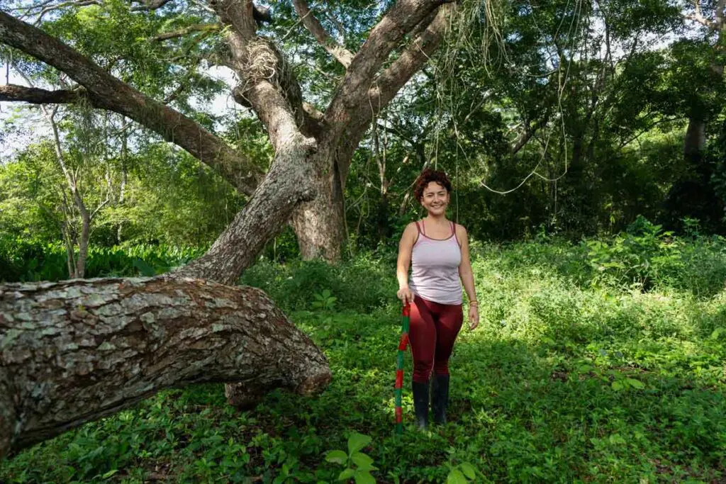 Montes de maría: el arte, la tradición y la esperanza de un territorio que resurge