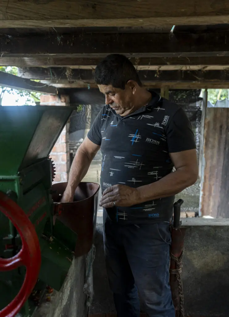 Viotá, el destino a dos horas de Bogotá ideal para caminar, tomar café y hablar de paz y perdón Viotá, el destino a dos horas de Bogotá ideal para caminar, tomar café y hablar de paz y perdón
