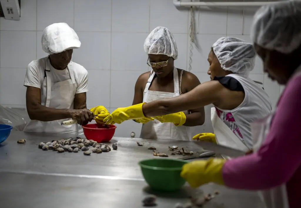 Piangüeras: las matronas de los manglares en tumaco