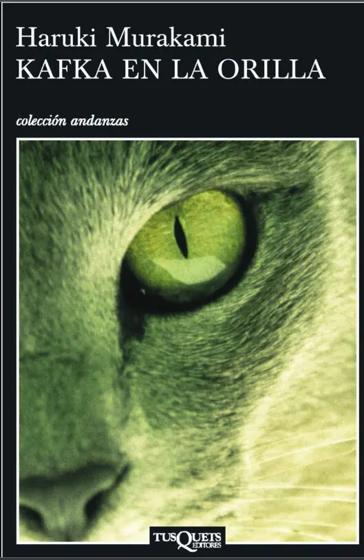 Día internacional del gato: libros y más historias de los felis silvestris catus Gatos, día internacional del gato, libro de gatos