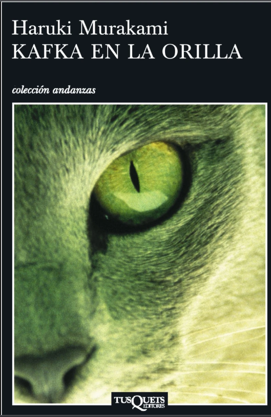 Gatos, día internacional del gato, libro de gatos