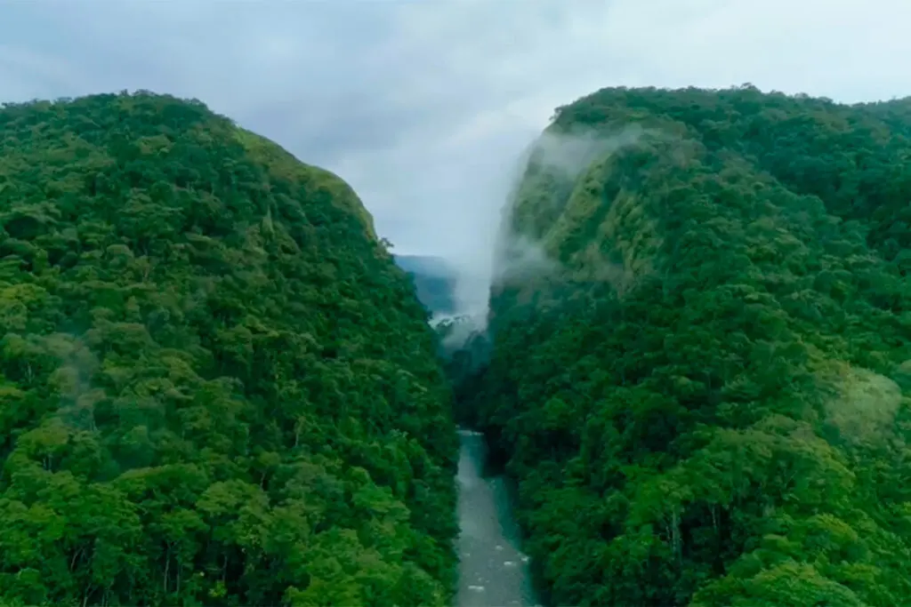 Un documental de discovery muestra los caminos ocultos del caquetá Caquetá