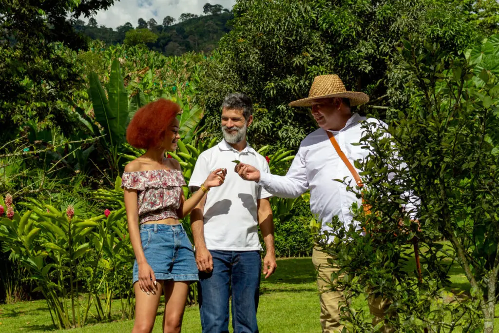 Casa rivera del cacao