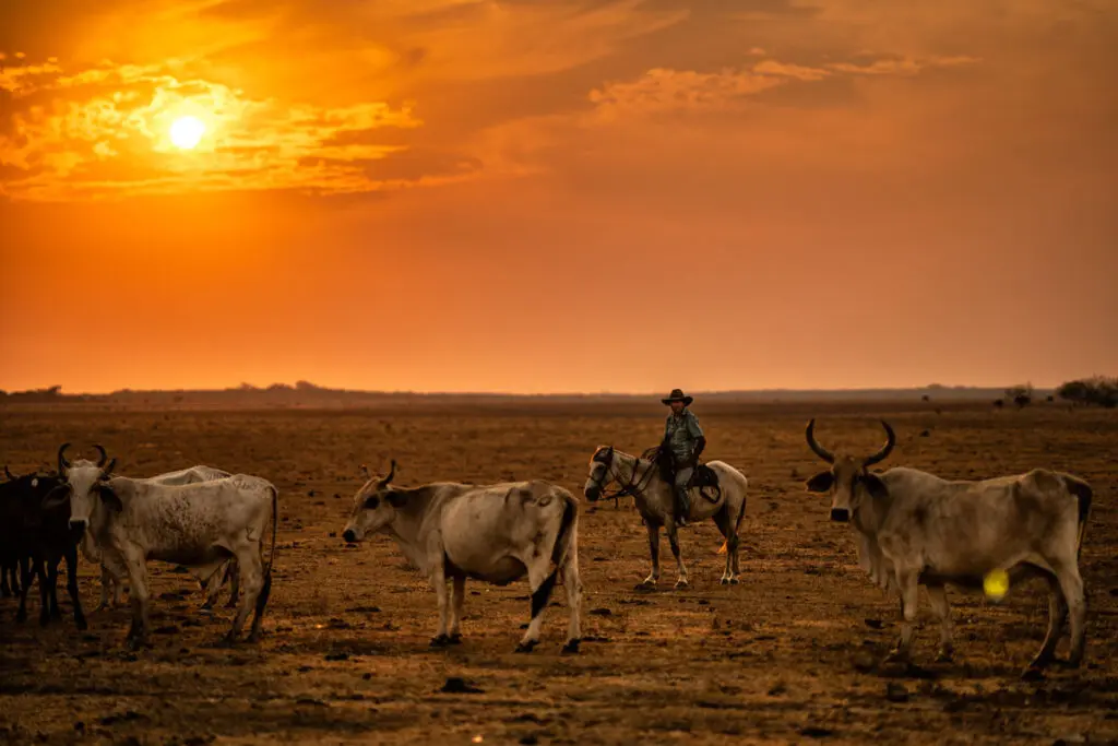 Colombia: 5 destinos por descubrir según fotógrafos de viajes Casanare esteban toro