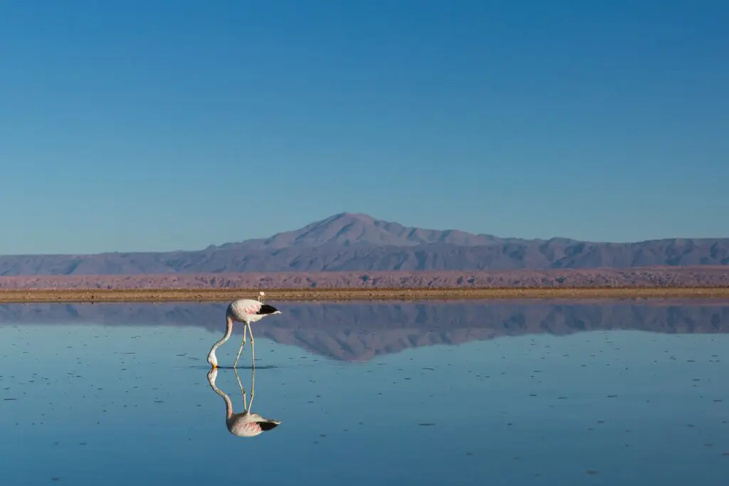 Cinco lugares imperdibles para visitar en 2024 en latinoamérica Chile