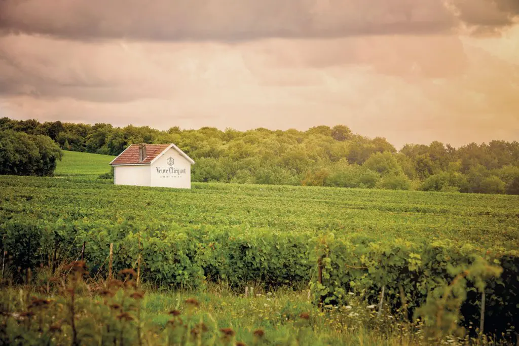 Foto de massino santi / shutterstock.