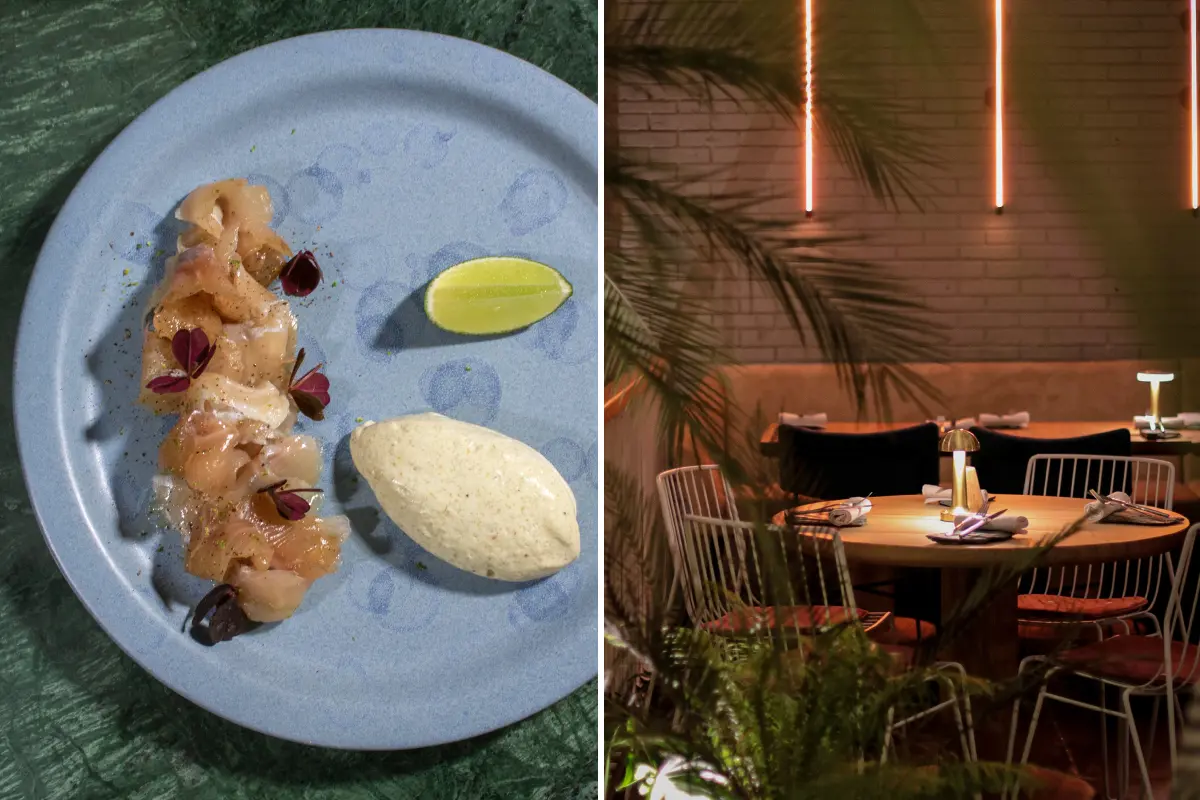 Pescados Contracorriente