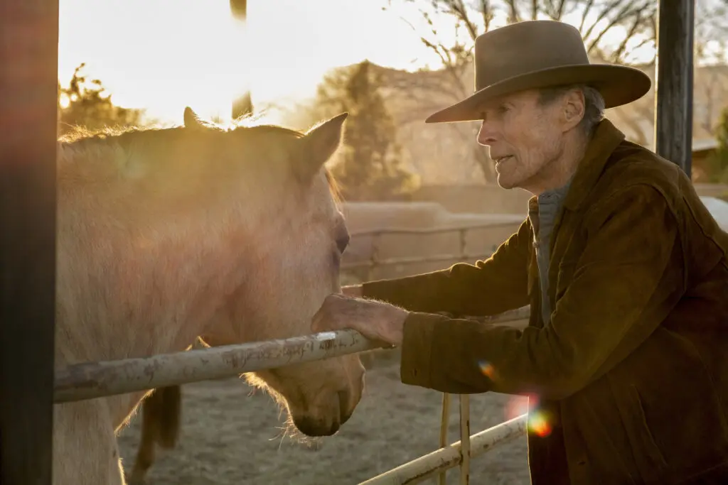 Clint eastwood