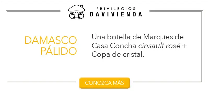 Una selección de cuatro de los mejores vinos chilenos para tener en casa