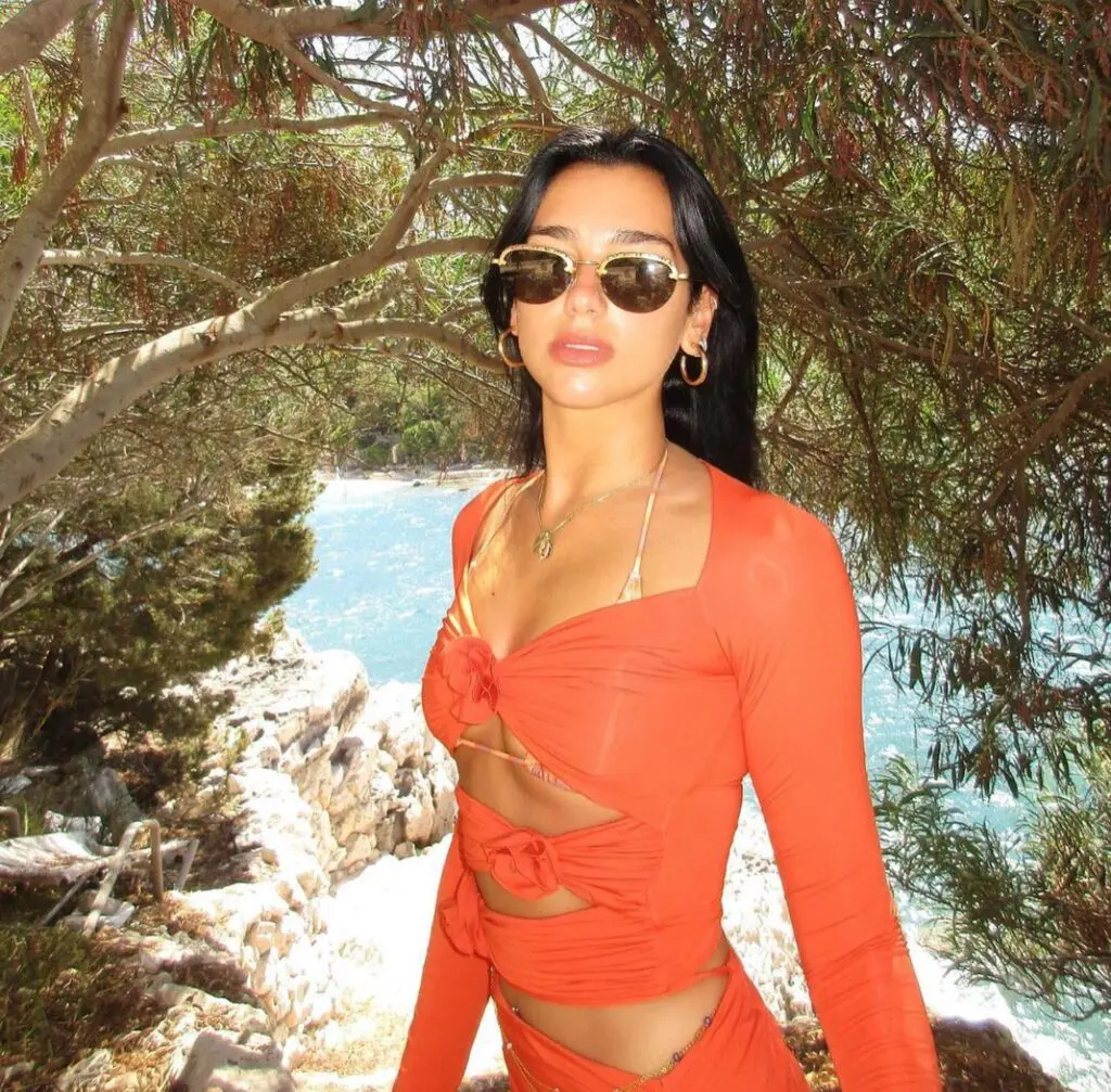 Dua lipa maygel coronel