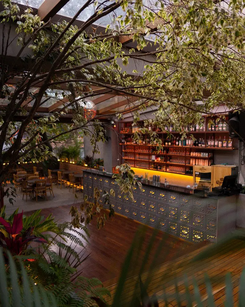 La ruta del gin and tonic en bogotá Egua restaurante