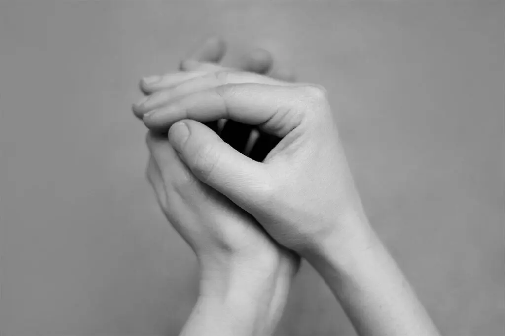 Leyla cárdenas y ocho artistas más se unen en la nueva exposición de casas riegner Casas riegner