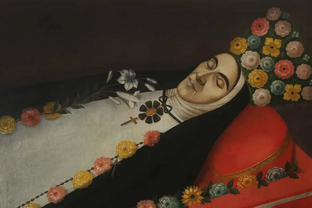 La historia secreta detrás de las flores de las monjas coronadas