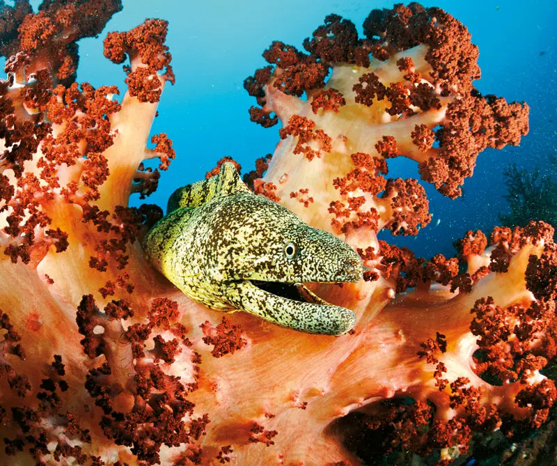 La exposición de la National Geographic que llega por primera vez a Colombia