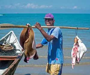 Morrosquín: la marca colombiana de pescadores artesanales del golfo de Morrosquillo