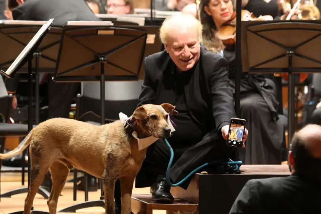 La orquesta filarmónica de bogotá y los perros sin hogar se presentaron juntos por una buena causa