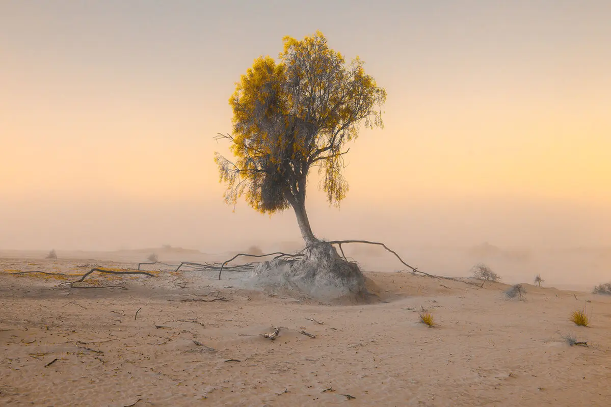 Fotografía Life Framer