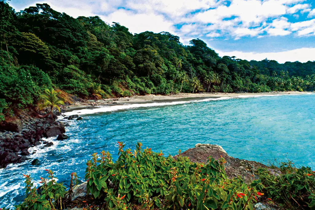 Isla de gorgona: una joya natural en el pacífico colombiano Gorgona