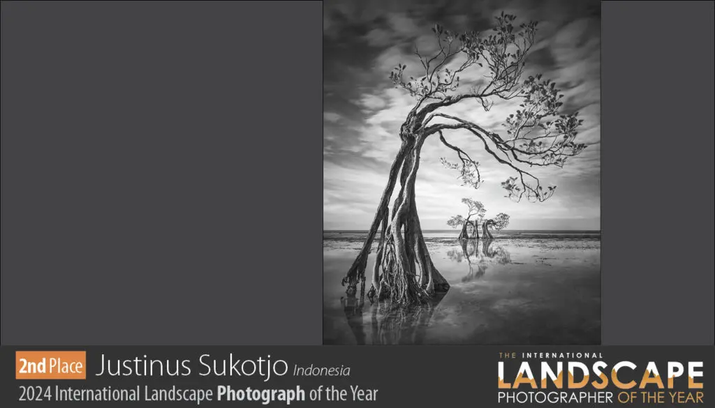 Las fotografías ganadoras del international landscape photographer of the year