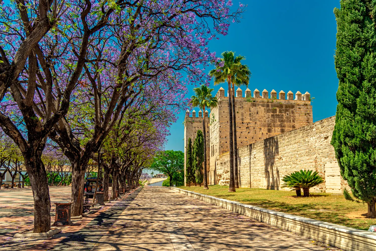 The Macallan double cask 15 años