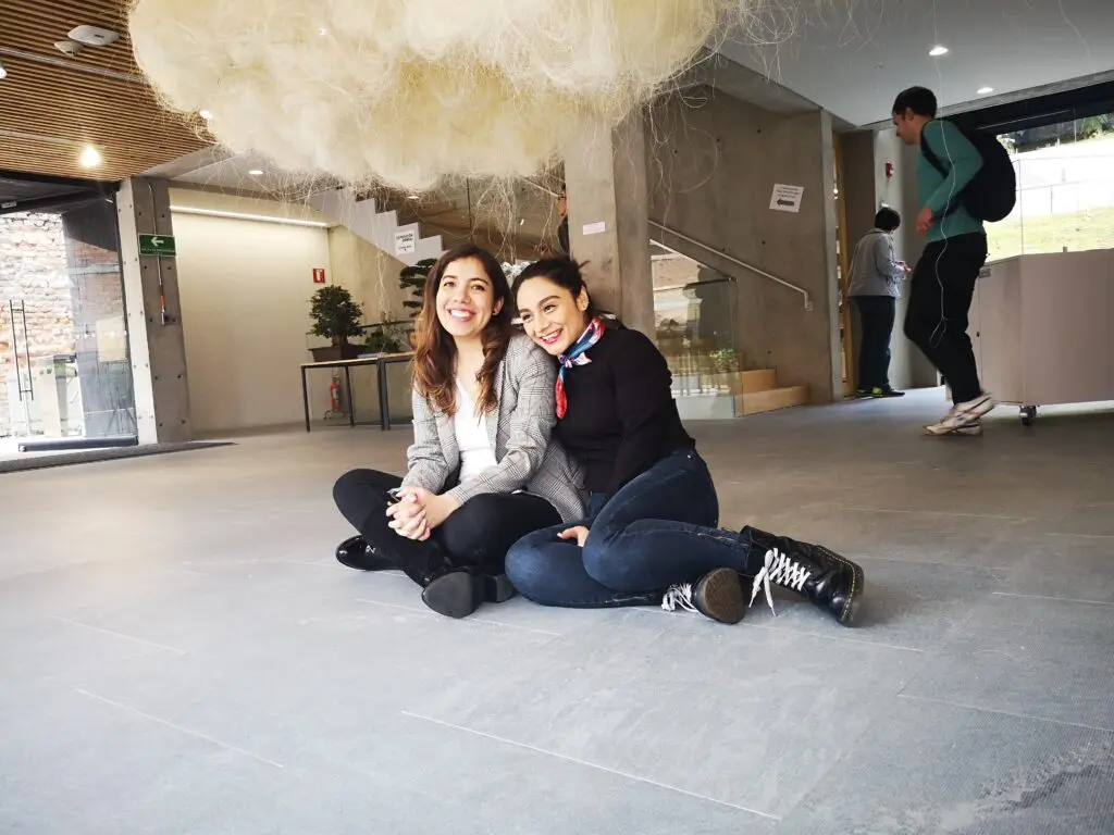 Las ordenautas
