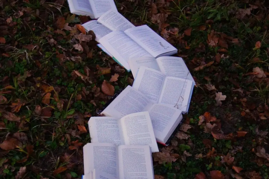Libros fantasía