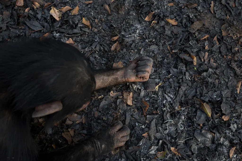 Fotografía Life Framer