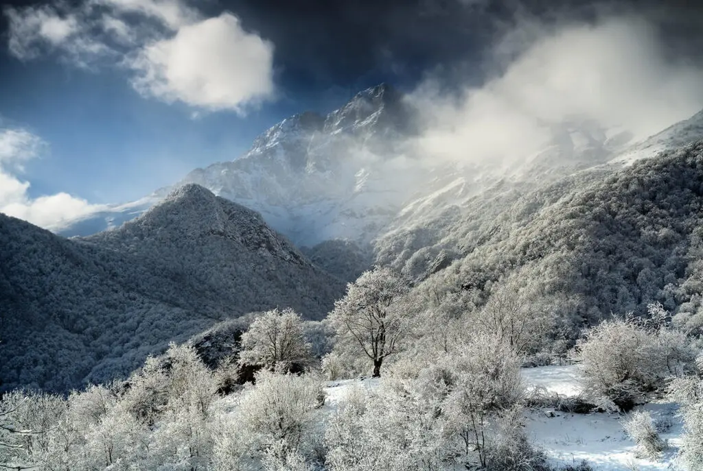 Fotografía Life Framer