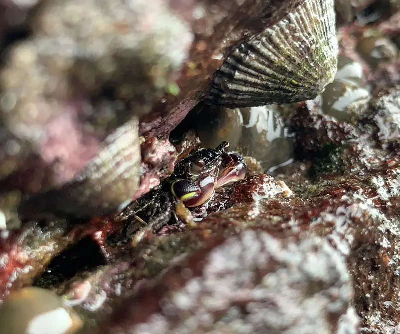 tips para fotógrafos