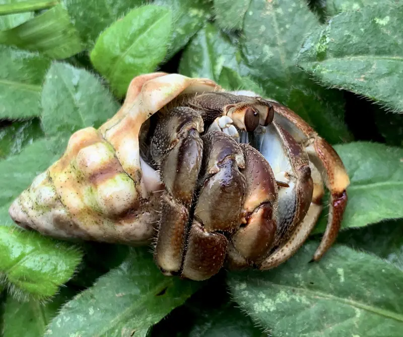 tips para fotógrafos