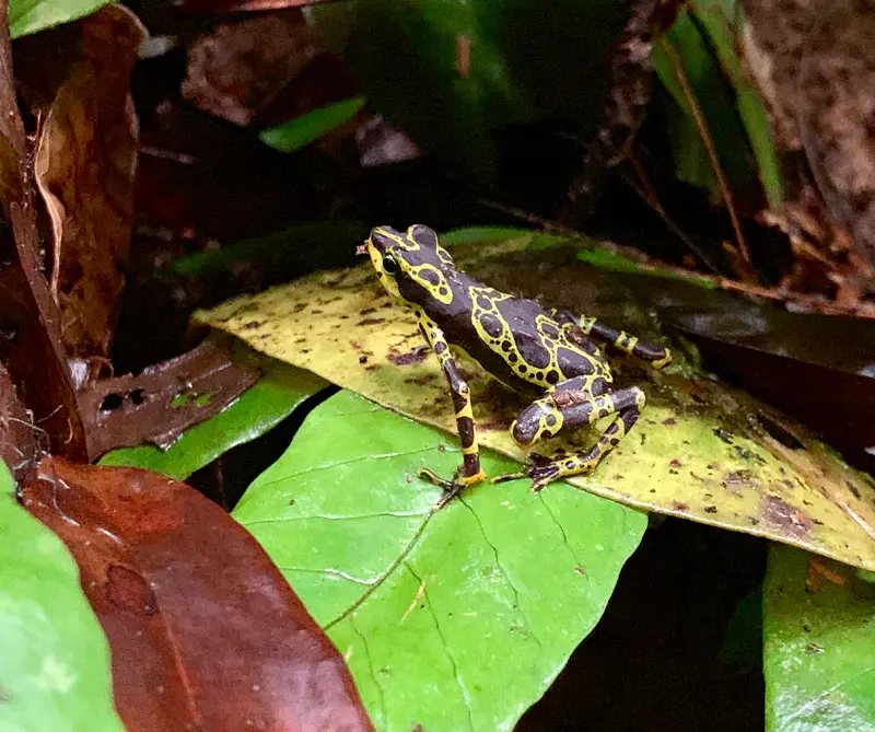 tips para fotógrafos