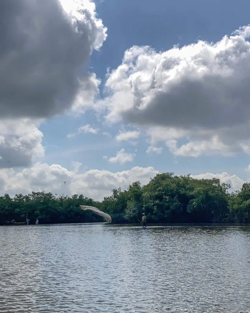 Pescador La Boquilla, manglares