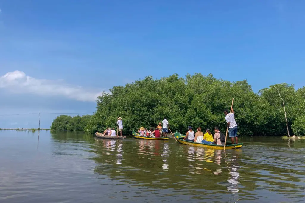 La Boquilla Cartagena, manglares