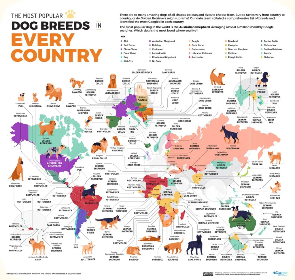 ¿cuál es la raza de perro más popular del mundo y de colombia?
