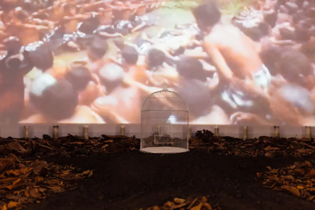 Exposición María Teresa Hincapié