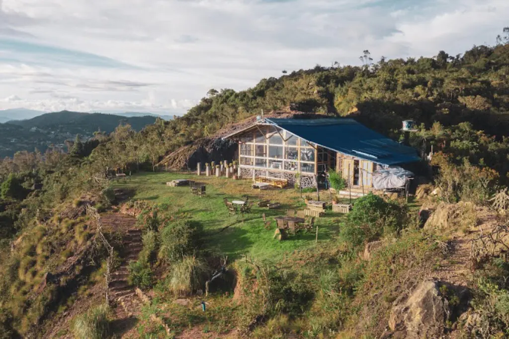 Así es un baño de bosque, la tendencia de bienestar que llegó a bogotá Baños de bosque metanoia