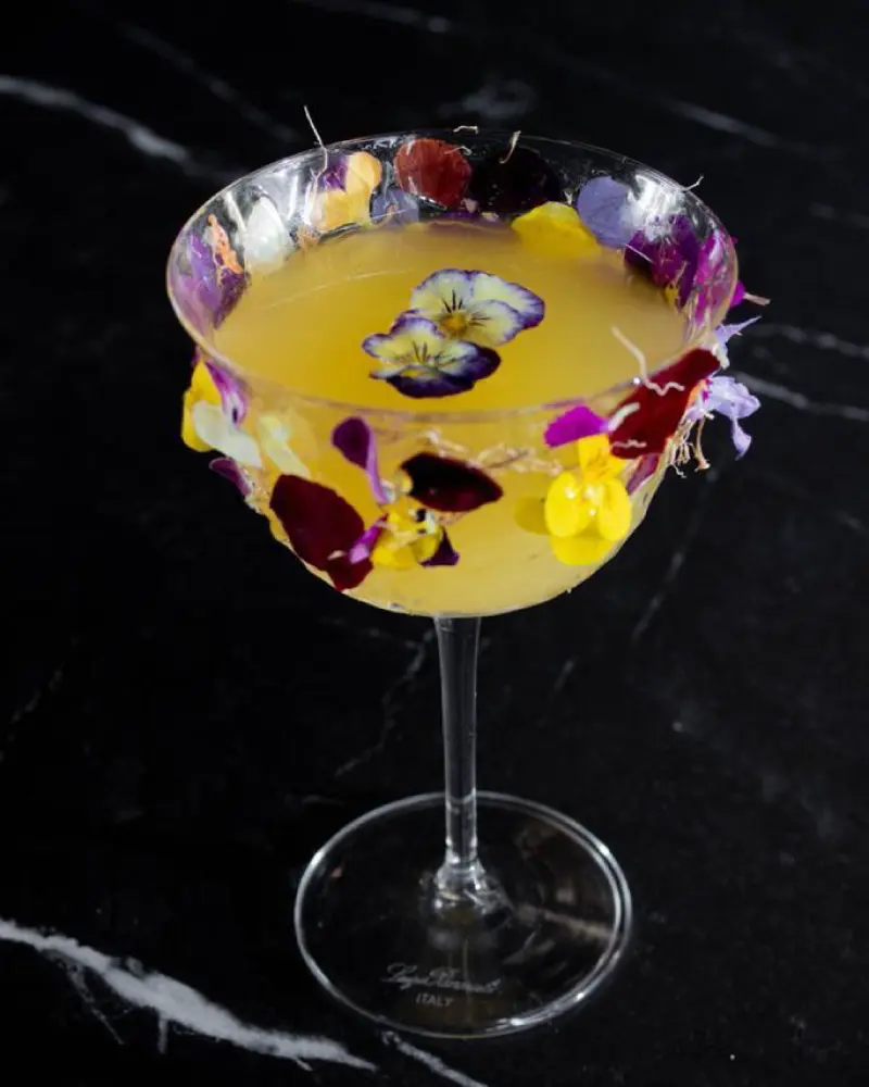 Verano eterno coctel