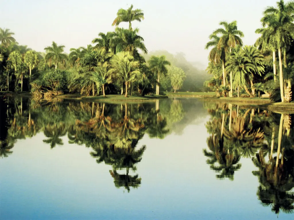 Fairchild Tropical Garden
