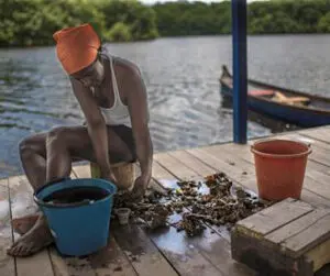 Morrosquín: la marca colombiana de pescadores artesanales del golfo de Morrosquillo