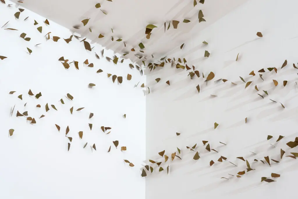 Paraísos y jardines Museo del oro