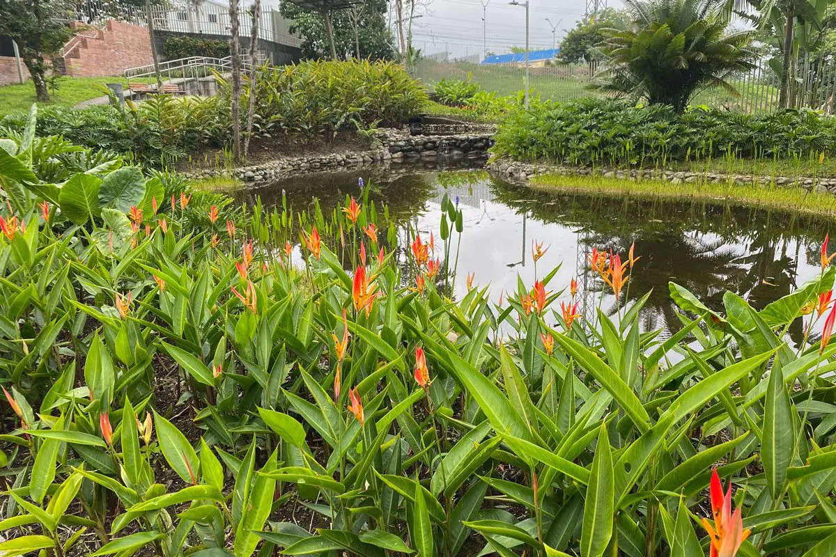 Jardín arqueobotanico museo del oro