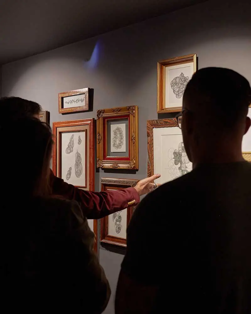 Roberto Manrique dibujos