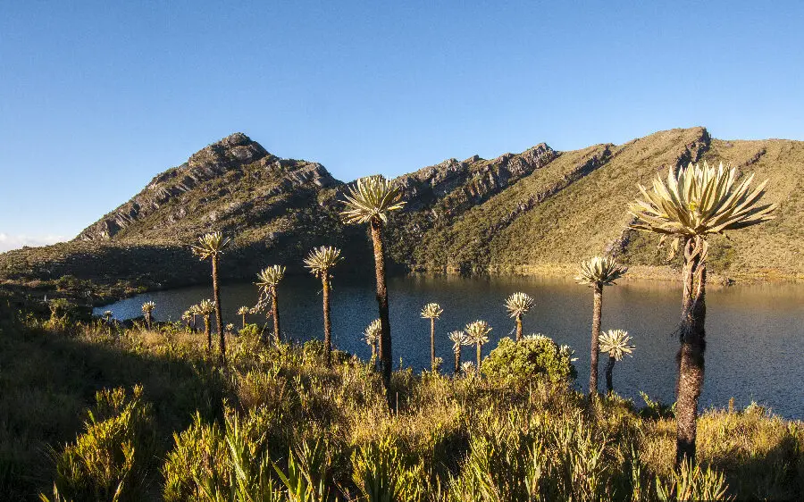 5 parques naturales en Colombia que debería visitar en 2025 5 parques naturales en Colombia que debería visitar en 2025
