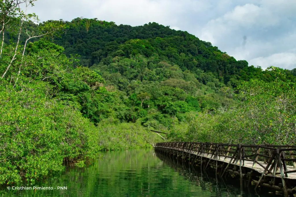 5 parques naturales en Colombia que debería visitar en 2025 5 parques naturales en Colombia que debería visitar en 2025